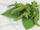 Green Calaloo Amaranth Seeds