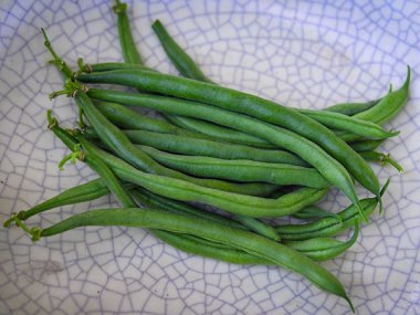 Jade Bush Bean Seeds
