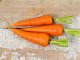 Danvers 126 Half Long Carrot Seeds