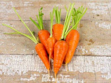 Chantenay Red Core Carrot Seeds