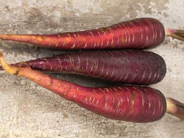 Purple Dragon Carrot Seeds