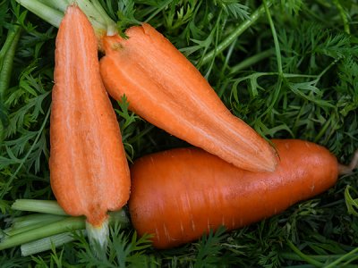 New Kuroda Carrot Seeds