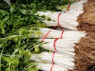 Chinese White Celery Seeds