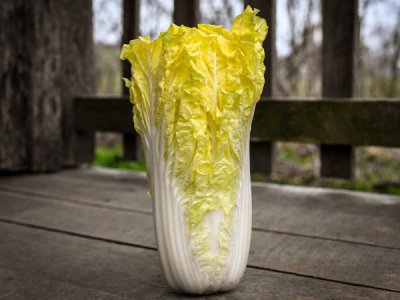 Golden Beauty Chinese Cabbage Seeds