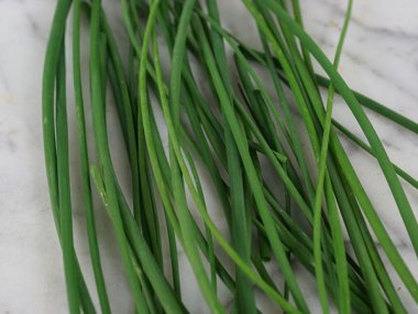 Common Chives Herb Seeds