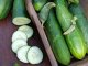 Ancash Market Cucumber Seeds