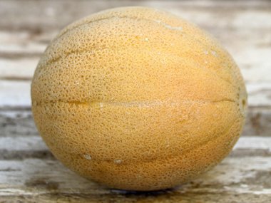 Sweet Passion Melon Seeds