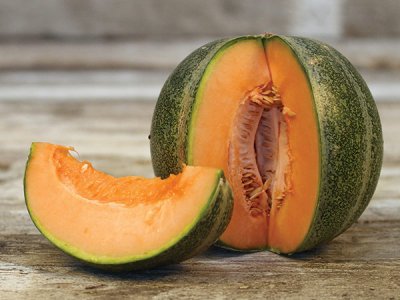 Petit Gris de Rennes Melon Seeds