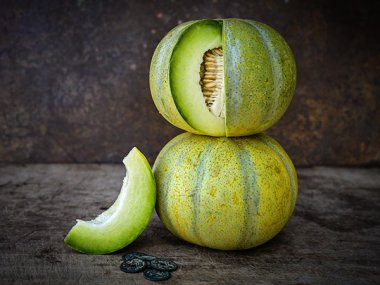 Model Melon Seeds
