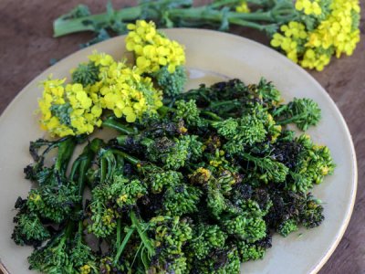 Natalina Di Fasano Cima Grande Broccoli Rabe Seeds