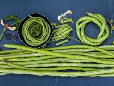 Chinese Green Noodle Bean Seeds