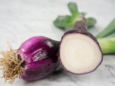Southport Red Globe Onion Seeds