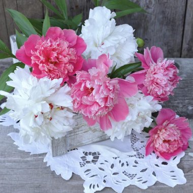 Peony Old Fashioned Fragrant Collection