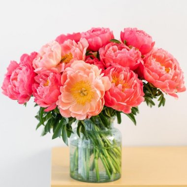 Peony Sunset Collection