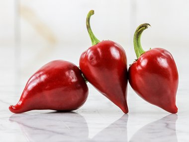 Kalugeritsa Hot Pepper Seeds