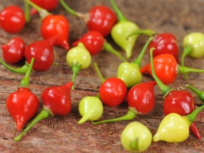 Biquinho Hot Pepper Seeds