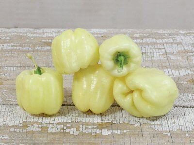 Albino Bull Nose Pepper Seeds