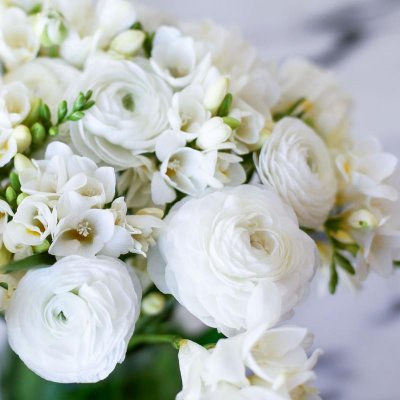 Freesias and Ranunculus 'White Clouds' Blend