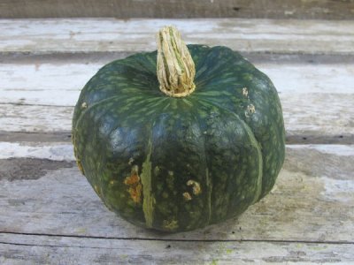 Buttercup Squash Seeds