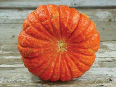 Rouge Vif D' Etampes Pumpkin Squash Seeds
