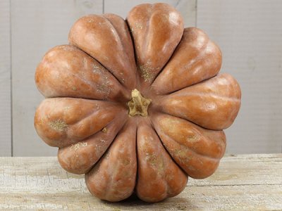 Musquee De Provence Pumpkin Squash Seeds