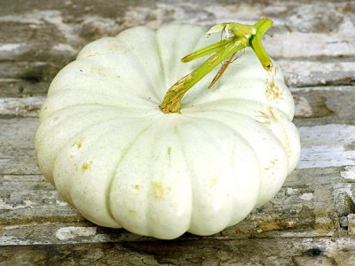 Flat White Boer Pumpkin Seeds