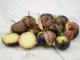 Purple Coban Tomatillo Seeds
