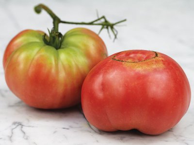 Rebekah Allen Tomato Seeds