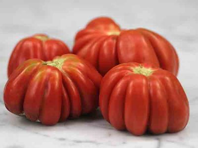 Gezahnte Tomato Seeds