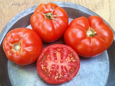 Wood's Famous Brimmer Tomato Seeds