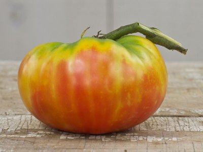 Gold Medal Tomato Seeds