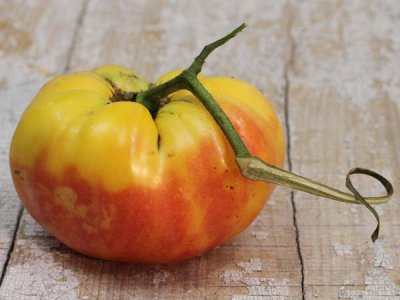 Nature's Riddle Tomato Seeds