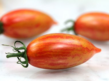 Pink Tiger Tomato Seeds