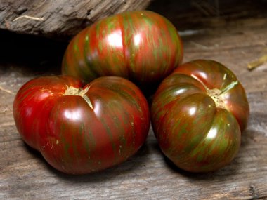 Large Barred Boar Tomato