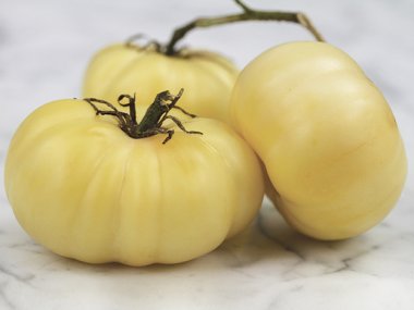 White Beauty or Snowball Tomato Seeds