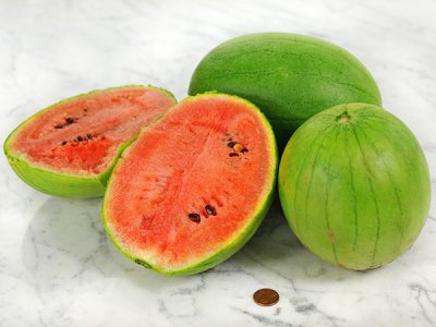 Otome Watermelon Seeds